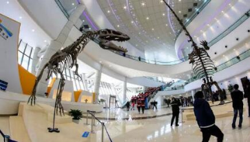 1634354148246628.png image.png