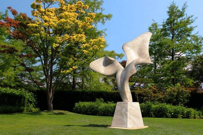 1607502646944115.jpg timg15.jpg