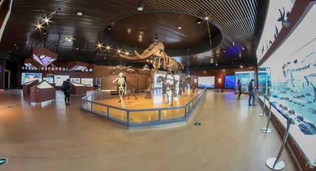 科技馆设计之前应当考虑哪些问题? 科技馆设计之前应当考虑哪些问题?