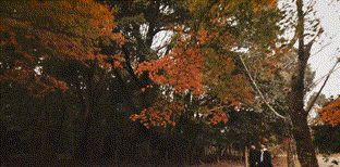 视频拍摄公司 视频拍摄公司