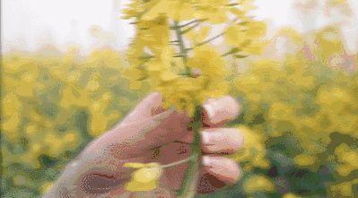 视频拍摄公司 视频拍摄公司