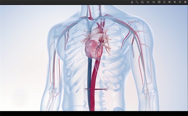 三维动画制作74 三维动画制作74