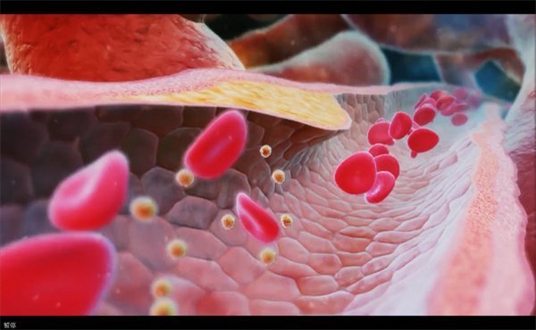 三维动画制作114 三维动画制作114