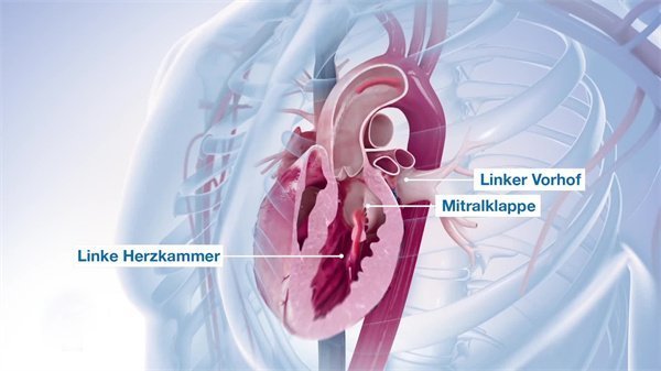三维动画制作20 三维动画制作20